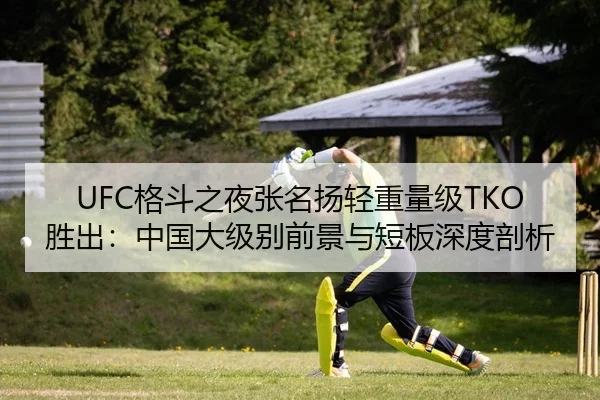 UFC格斗之夜张名扬轻重量级TKO胜出：中国大级别前景与短板深度剖析